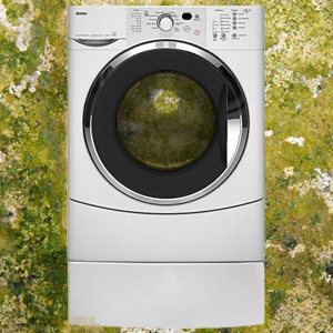 Preventing Mold and Mildew in Your Front Load Washer