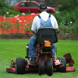 5 Tips for Better Lawn Mower and Lawn Care