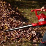 Choosing a Leaf Blower: Gas, Electric, or Cordless?